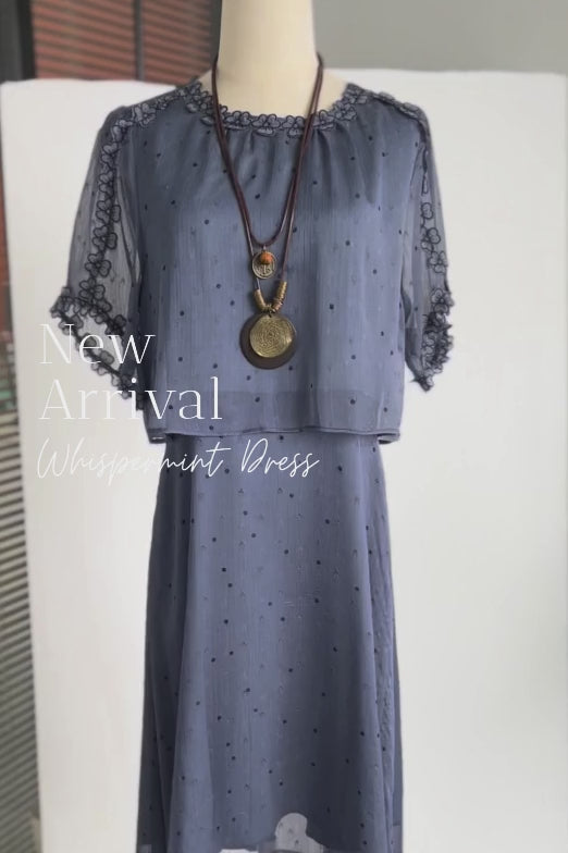 Sarah Dark Blue Chiffon Dress with Dots